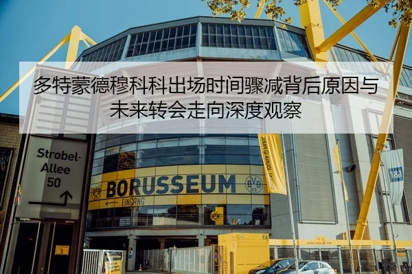 多特蒙德穆科科出场时间骤减背后原因与未来转会走向深度观察